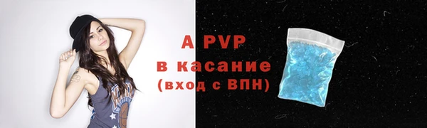 стаф Кинешма