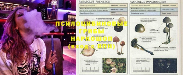 мдпв Козловка