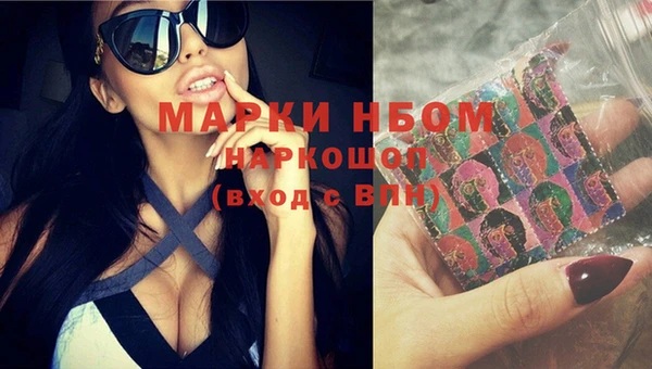 гашик Кодинск