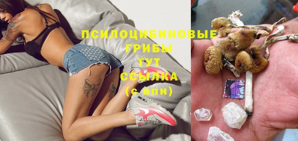 стаф Кинешма