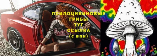 прущий лед Козельск