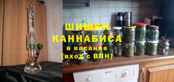 мдпв Козловка