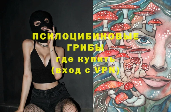 гашик Кодинск