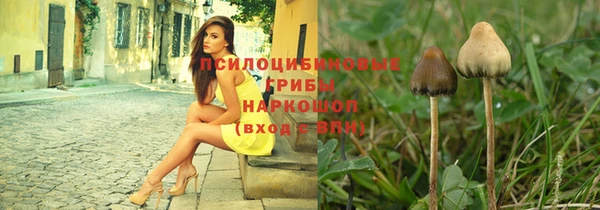 гашик Кодинск