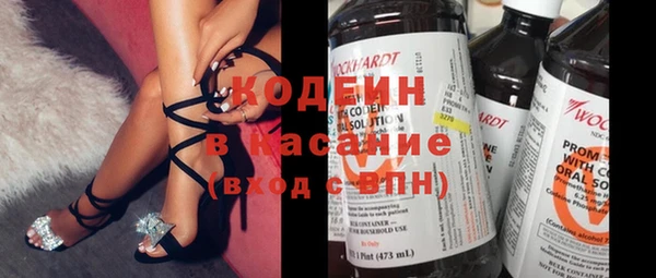 гашик Кодинск