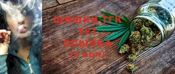 гашик Кодинск
