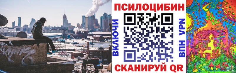 Купить  Киселёвск  Галлюциногенные грибы MAGIC MUSHROOMS 