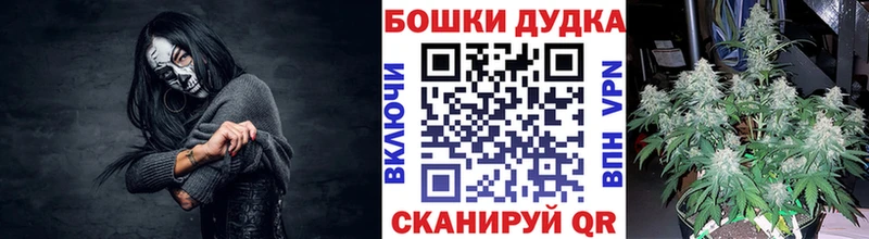 Купить где  Киселёвск  Конопля индика 